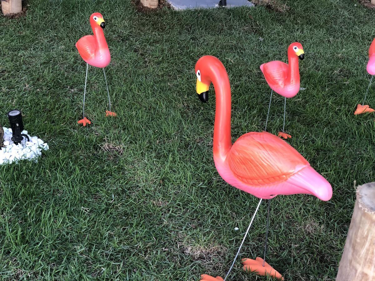 Flamingo Beach Pousada กาโบฟรีโอ ภายนอก รูปภาพ